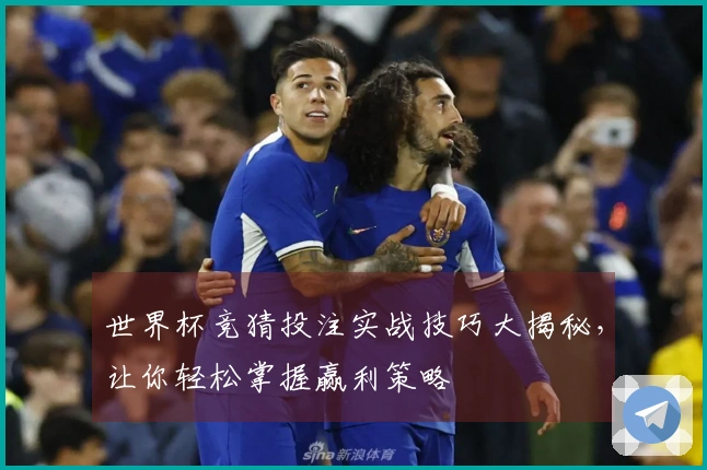 世界杯竞猜投注实战技巧大揭秘,让你轻松掌握赢利策略