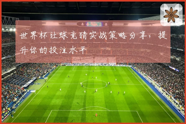 世界杯让球竞猜实战策略分享，提升你的投注水平