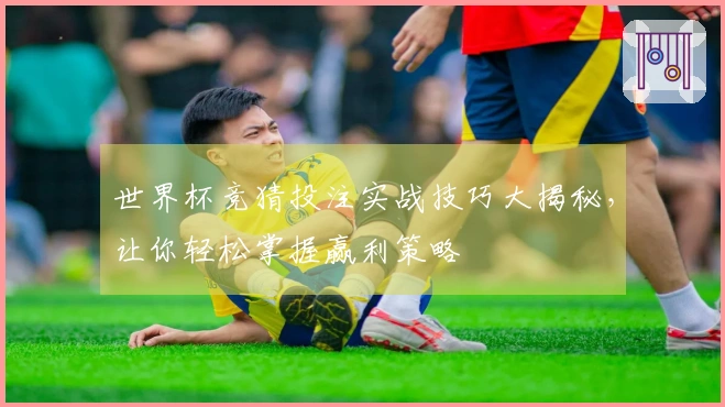 世界杯竞猜投注实战技巧大揭秘，让你轻松掌握赢利策略