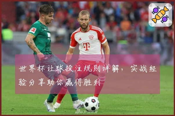 世界杯让球投注规则详解,实战经验分享助你赢得胜利